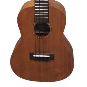 DU-200C | Forte Music - Tiffin and Sandusky Ohio Diamond Head DU-200C Concert Ukulele