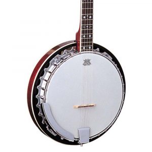 OB5 | Forte Music - Tiffin and Sandusky Ohio Oscar Schmidt OB5 Banjo