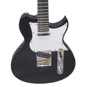 WIS160- | Forte Music - Tiffin and Sandusky Ohio Washburn Idol Standard WIS160 Guitar